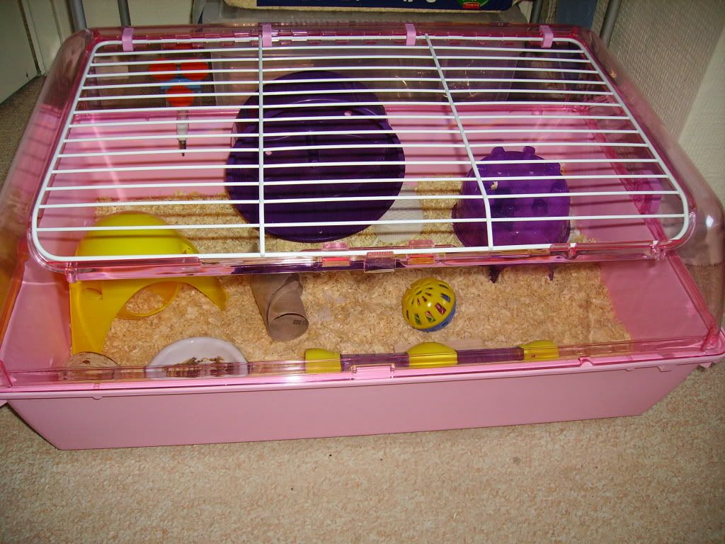 zoozone 2 hamster cage
