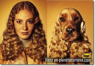 http://i268.photobucket.com/albums/jj10/Gisela_87/perro-cabello-mujer.jpg