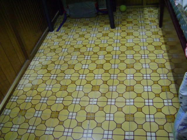 Làm ơn cho em hỏi 1 chút về máy ảnh kts!