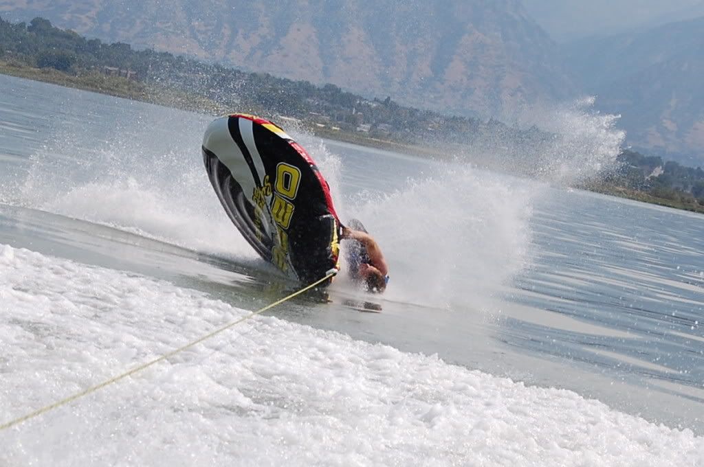 that mar Tree+octopus+real that mar Tree+octopus+real