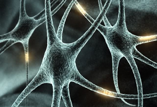 brain-neuron.jpg
