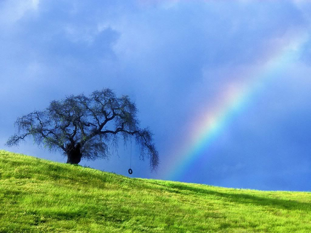 rainbow_over_a_hill-1761.jpg