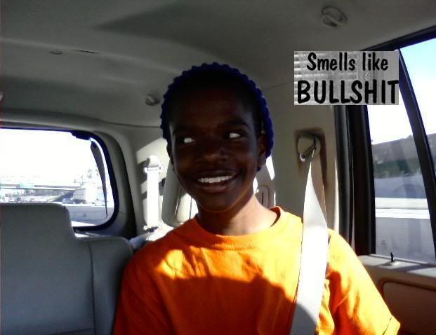 smells like bullshit photo: smells like bullshit CrackedScreen1152x720.jpg