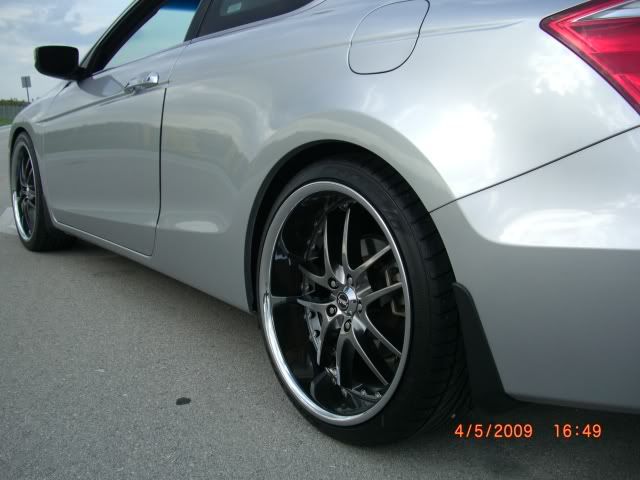 Vossen 094