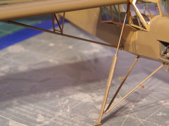 Storch 5