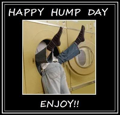 HUMP DAY