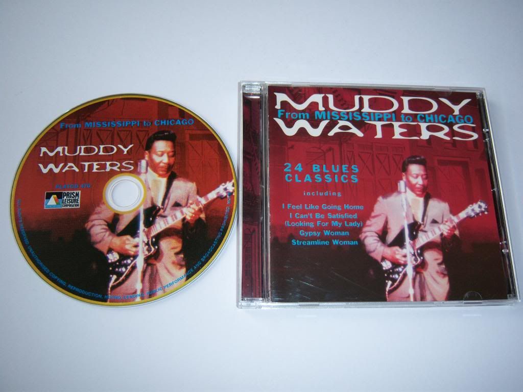 Muddy Waters - From Mississippi To Chicago
