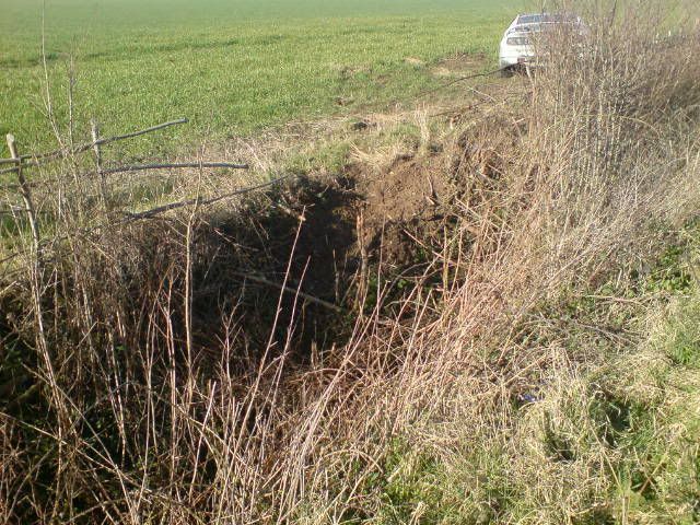 Ditch.jpg