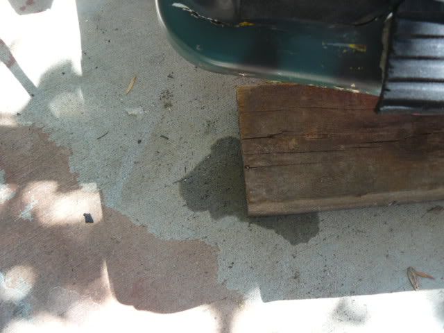 P1020404.jpg
