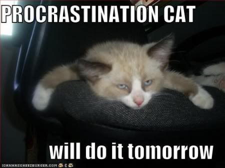 procrastinationcat.jpg