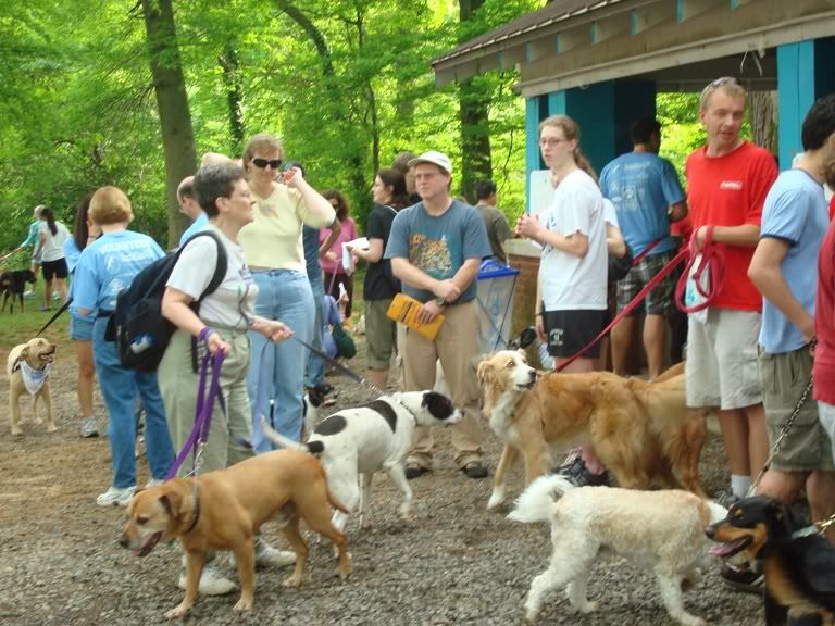Lots of dogs came out Saturday, May 9th - ready to walk for the cause!