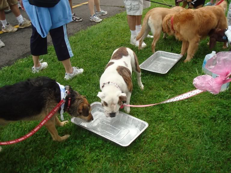 ... and some took chilled out at the watering stations