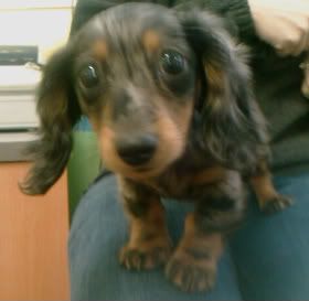 Maggie