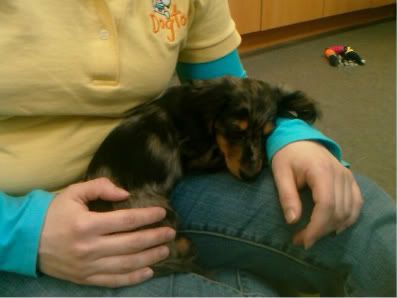 Sleepy Maggie