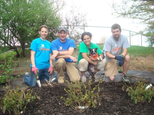 The Dogtopia team couldnt think of a better way to spend a Sunday!