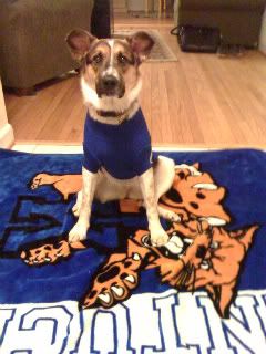 Samantha's a Wildcat!