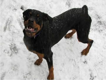 Riley had a big grin!