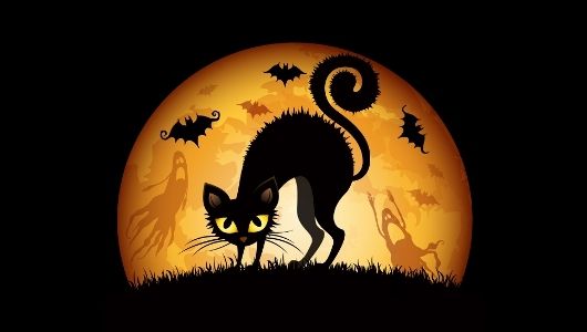 halloween_cat_small_wide_zpsnjkltp86.jpg