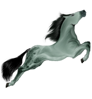 [Image: Capriola_coat_4.png]