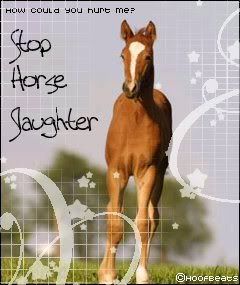 stop_horse_slaughter.jpg