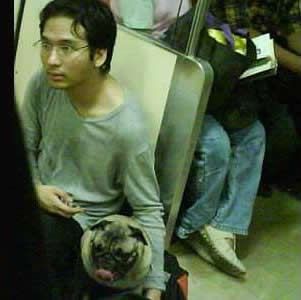 singaporeanbadbehaviour4
