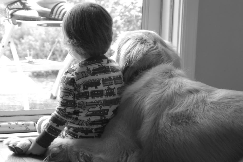 A boy and his dog Pictures, Images and Photos