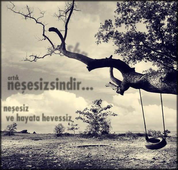 neesiz.jpg
