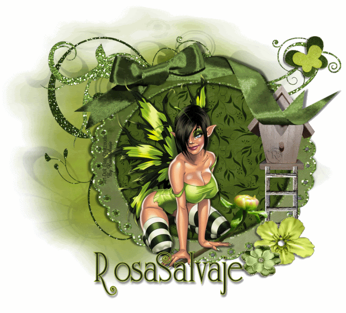 Fairy-WinkRo.gif picture by rosasalvajee