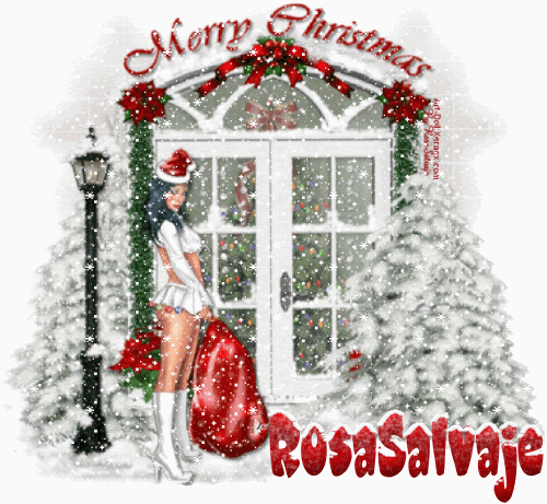 MerryChristmasRo.gif picture by rosasalvajee