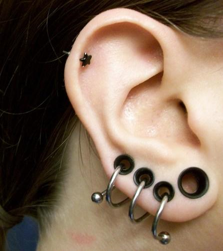 piercings pictures. piercings.png Gauged Ear