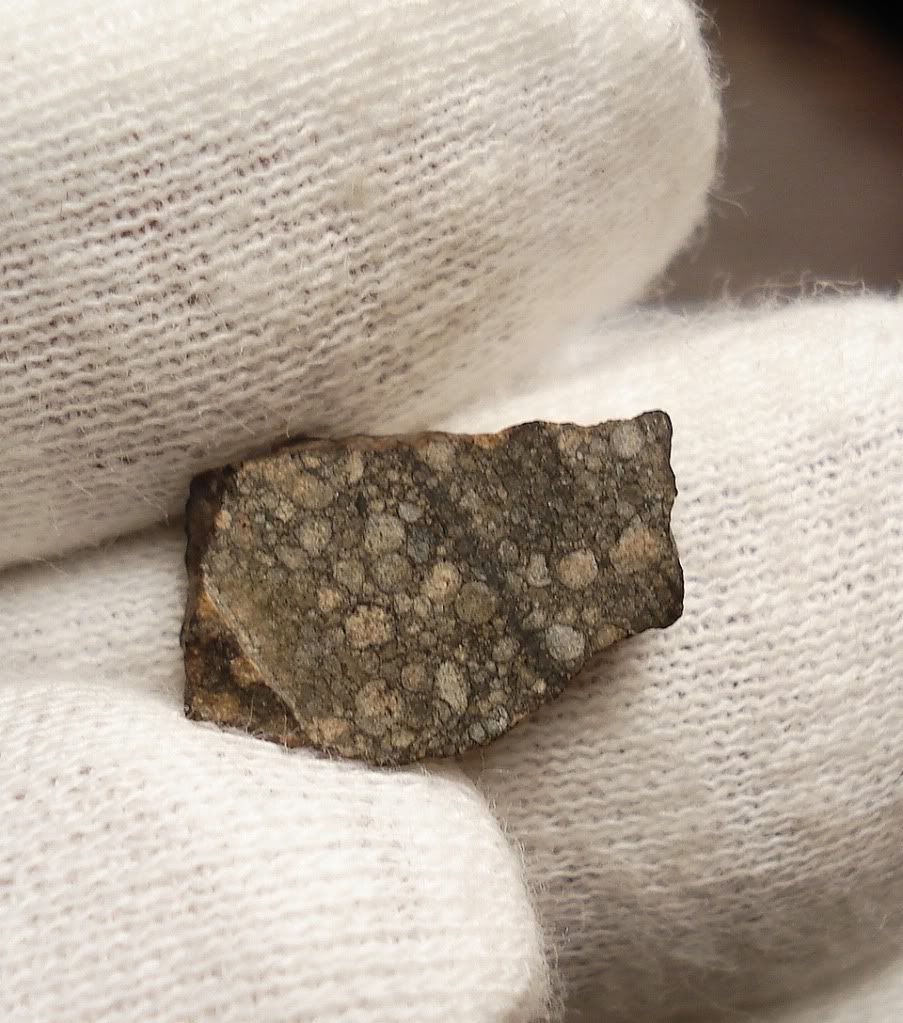 chondrules in meteorites