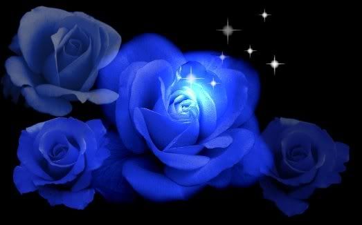 Resultado de imagen de good morning blue roses