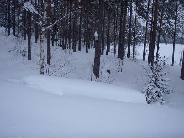 http://i268.photobucket.com/albums/jj26/downrivercurt/Blandat/canoe_in_snow.jpg