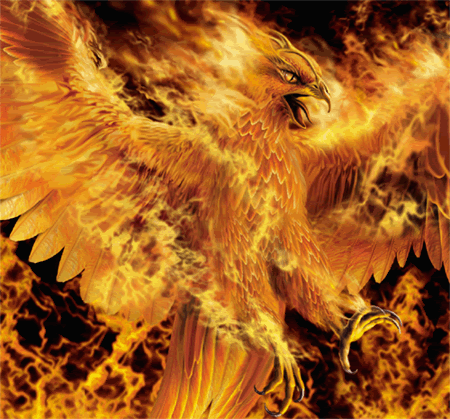Eagle With Fire
