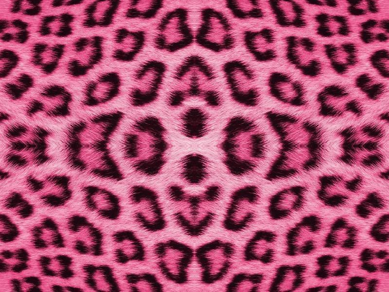 LEOPARD LAYOUTS leopard layouts: