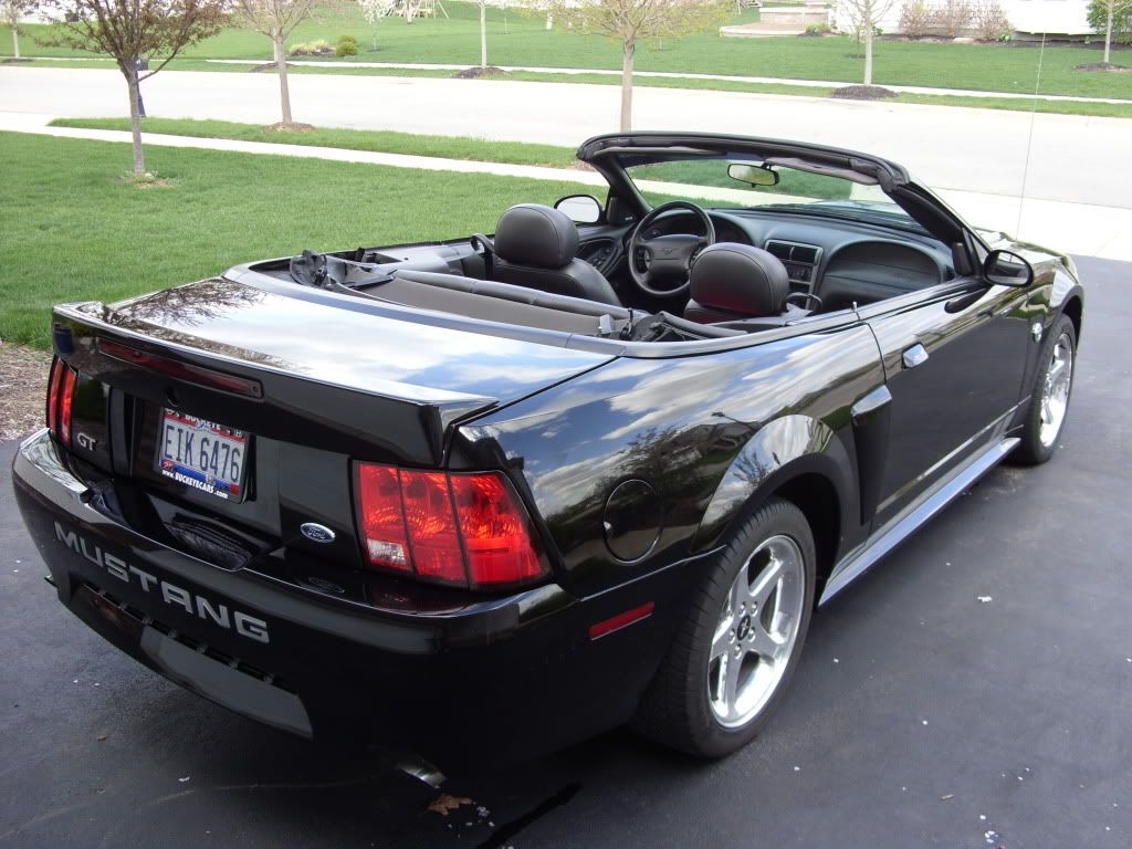 Mustang015.jpg