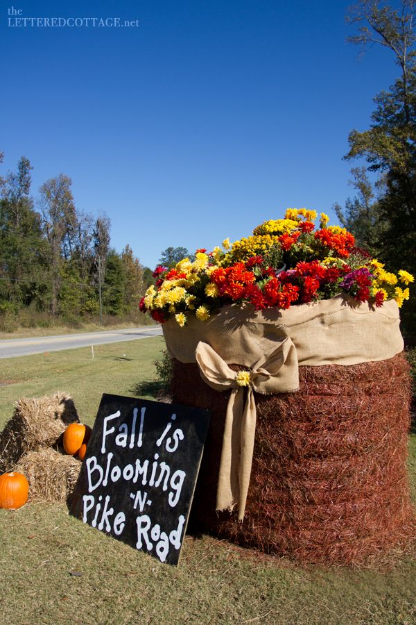 Halloween Hay Bales The Lettered Cottage