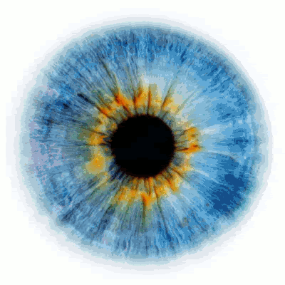 eyes.gif eyes image by fayerey eyes.gif eyes image by fayerey