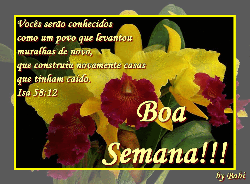 boasemana6.gif Boa semana image by Barbarajane_01