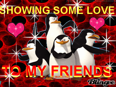 penguins showing friends love Pictures, Images and Photos
