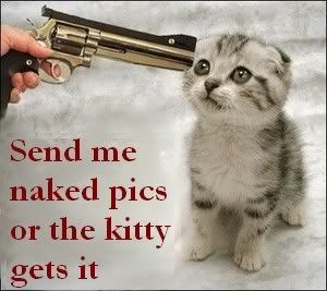 kitty extortion Pictures, Images and Photos