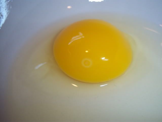 Infertile Egg