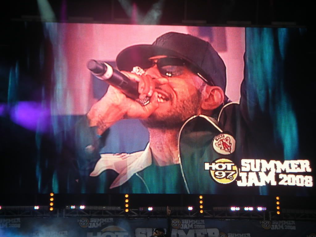 The 2008 Summer Jam Experience