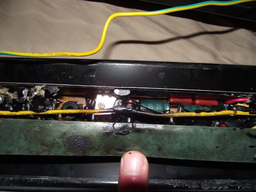 Problem with light fixture/ballast. Shorted out? Chameleon Forums