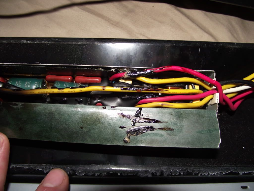 Problem with light fixture/ballast. Shorted out? Chameleon Forums