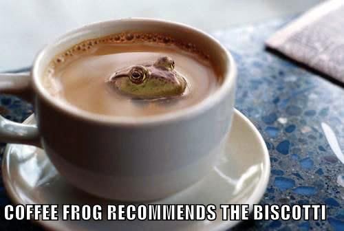 Coffee_frog.jpg