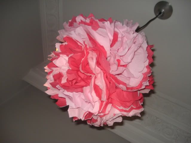 DSC05460-1.jpg