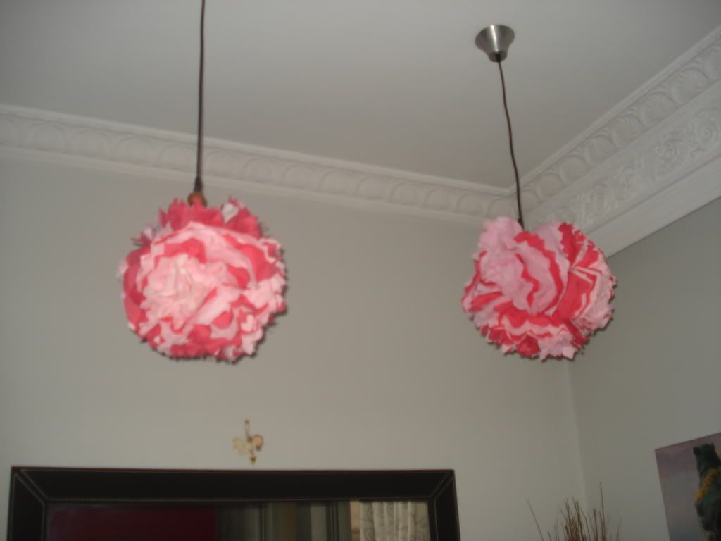 DSC05463.jpg