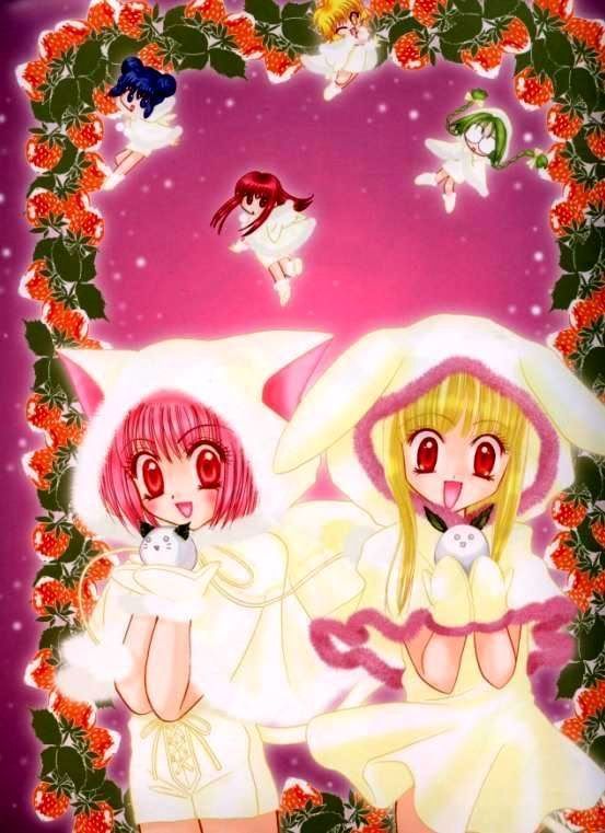 Christmas Mew Mews Pictures, Images and Photos