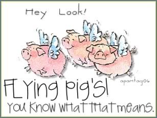 pigs fly Pictures, Images and Photos